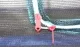 Trampolin Set Air 310 inklusive Sicherheitsnetz
